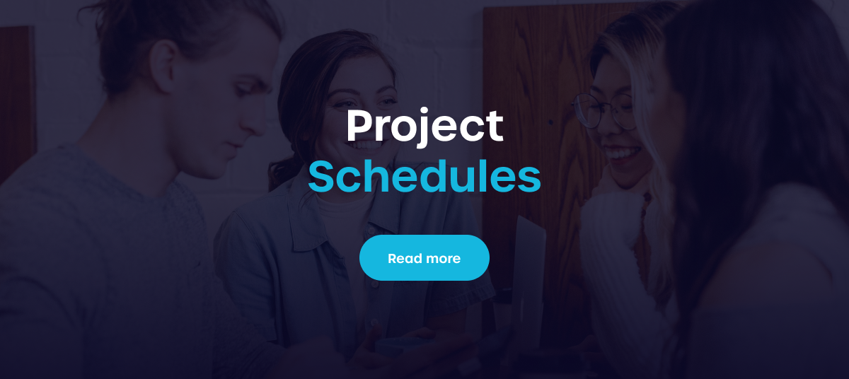 Project Schedules - link